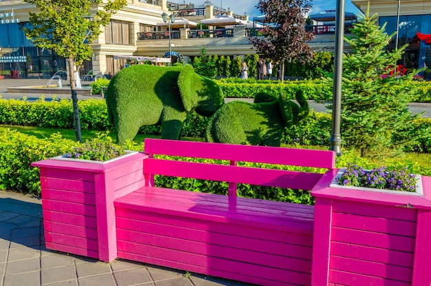 Roze houten bankje in het park in de zomer.