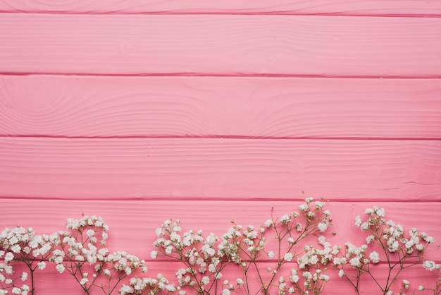 Foto roze houten oppervlak met decoratieve takjes