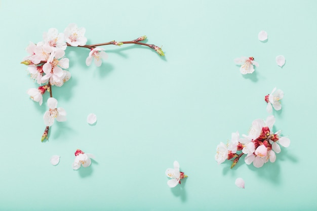 Roze kersenbloemen op groene achtergrond