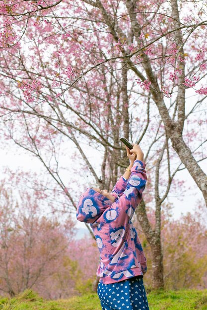 Roze kersenbloesem of sakura bloesem