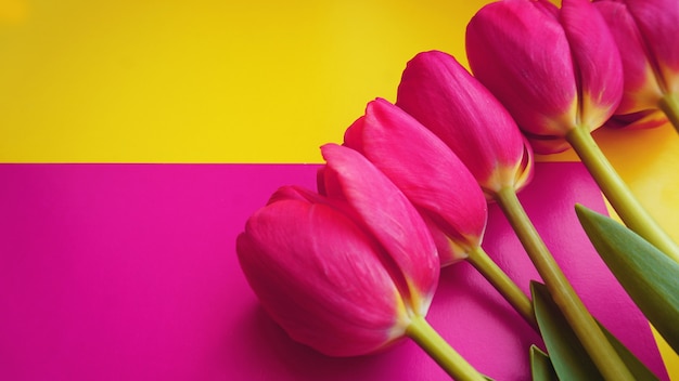 Roze kleurrijke tulpen op een kleurrijke achtergrond, in een platliggende compositie met kopieerruimte