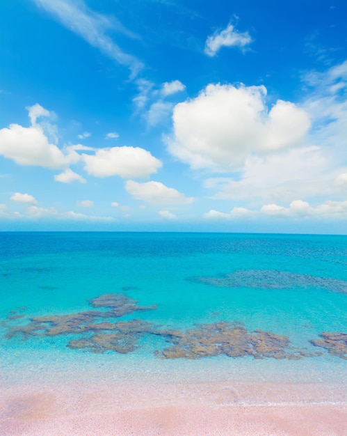 Roze kust onder een bewolkte hemel in de zomer