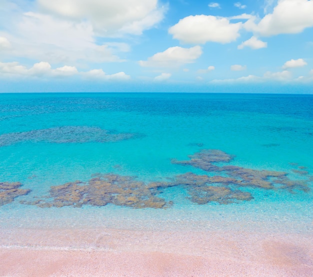 Roze kust onder een bewolkte hemel in de zomer