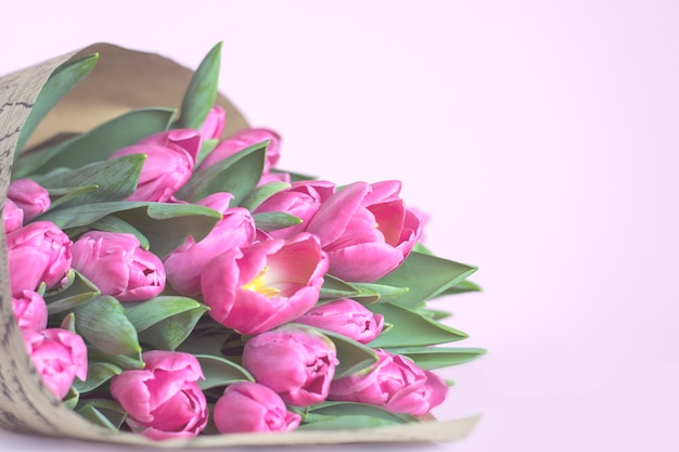 Roze lente tulpen op een roze achtergrond