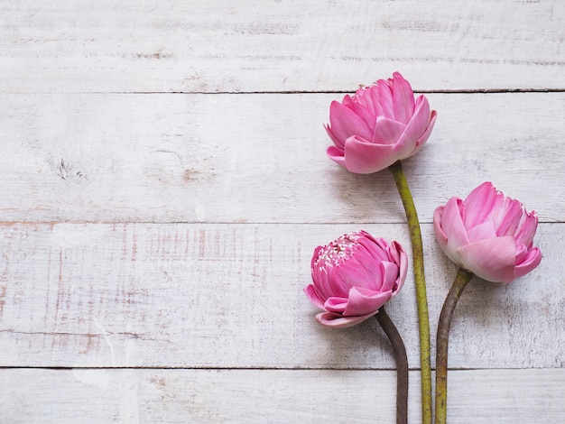 Roze lotusbloembloemen op houten lijst.