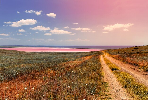 Foto roze meer bij zonsonderganglicht mooie aardachtergrond