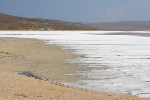 Roze meer martian landschap dieren in het wild