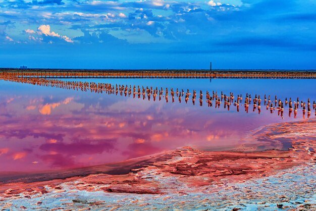 Roze meer op de Krim, met een gedroogde korst van zout en mineralen aan de kust