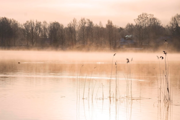 Roze mist op de rivier