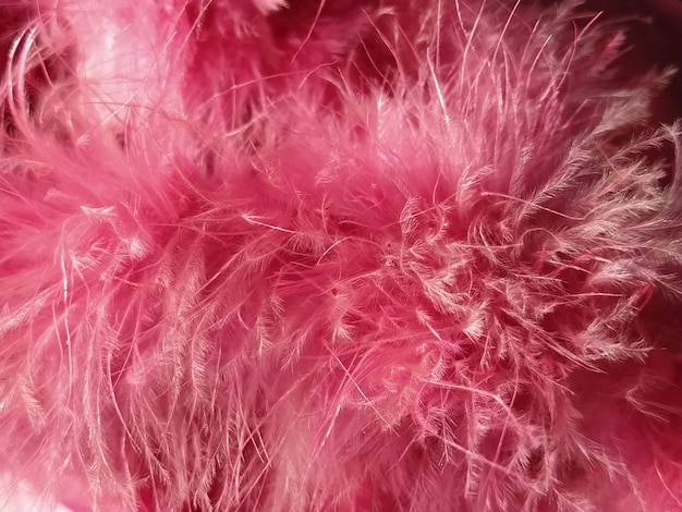 Roze nepbont of roze gekleurde natuurlijke vogelveren close-up Lichte veren boa Fijne textuur Wenskaart Happy Valentines Day Kraag van een dames- of meisjesjasje Helder roze of kleur