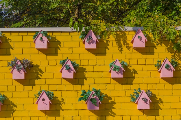 Roze nestkastjes op de gele muur