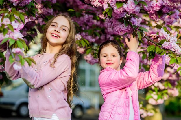 Roze onze favoriete Sakura-tuin Kinderen roze bloemen van sakura-boom Bloemen tedere bloei Kinderen genieten van kersenbloesem Ware vriendschap Zusters vrienden sakura-bomen achtergrond Kinderen lentetuin