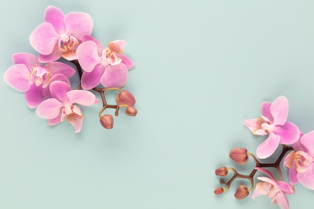 Roze orchidee thema-objecten op pastel achtergrond