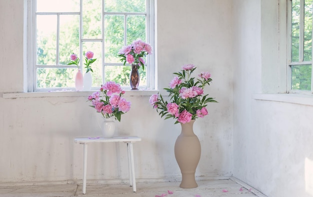 roze pioen in vaas op grunge wit interieur