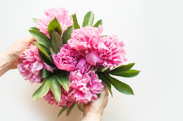 Roze pioenbloemen in vrouwelijke hand op wit. Uitzicht van boven.