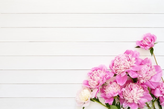 Roze pioenbloemen op witte houten