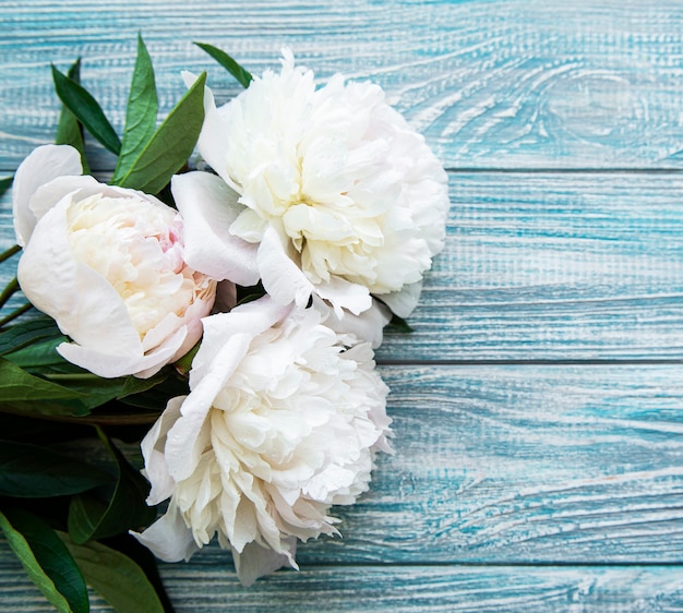 Roze pioenbloemen