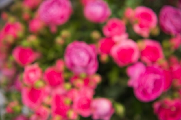 Foto roze pioenvormige rozen in een boeket