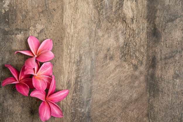 Roze plumeriabloemen op een houten achtergrond