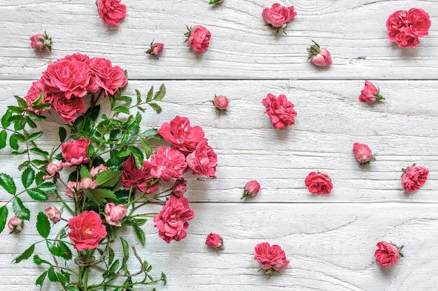 Roze roos bloemen boeket met verse bloemen en knoppen over witte houten tafel