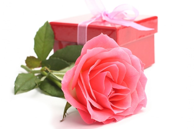 Roze roos en rode geschenkdoos over wit