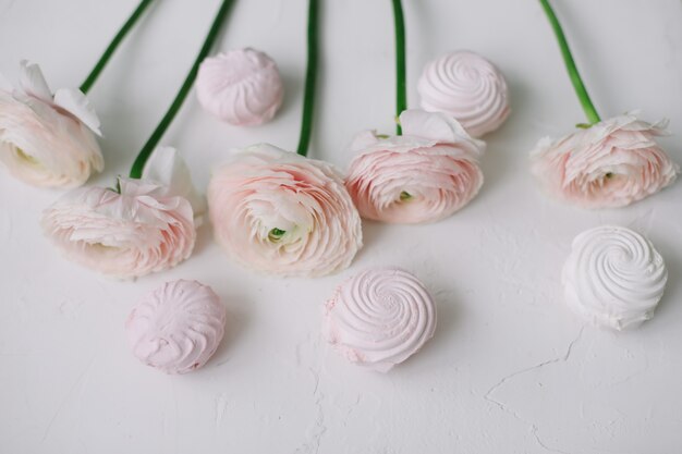Roze roze bloemen en marshmallows op een witte ondergrond