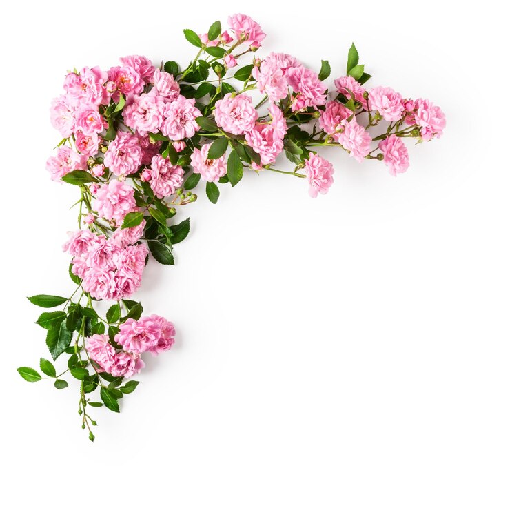 Foto roze rozen arrangement