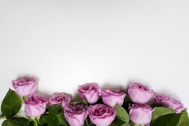 Roze rozen bloemen op de top van witte achtergrond. Symbool van elegantie, genegenheid en verfijning. Vrije ruimte concept