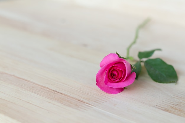 Roze rozen in valentijnskaartdag, romantische achtergrond