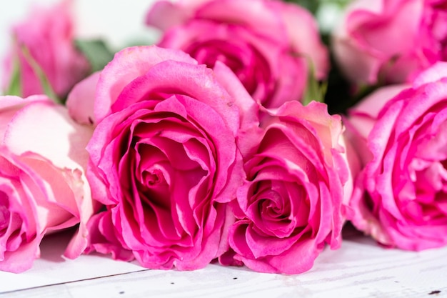 Roze rozen met de stengel op een geschilderde witte houten achtergrond.