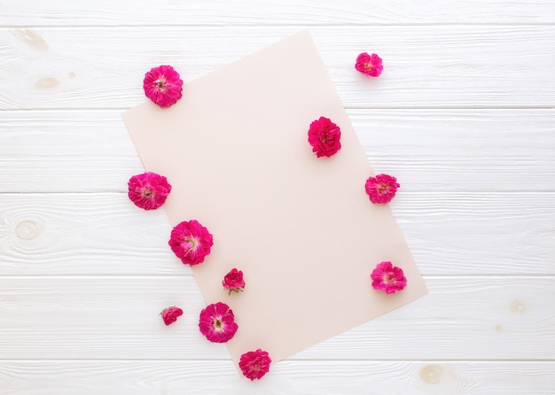 Roze rozen op blanco vel papier