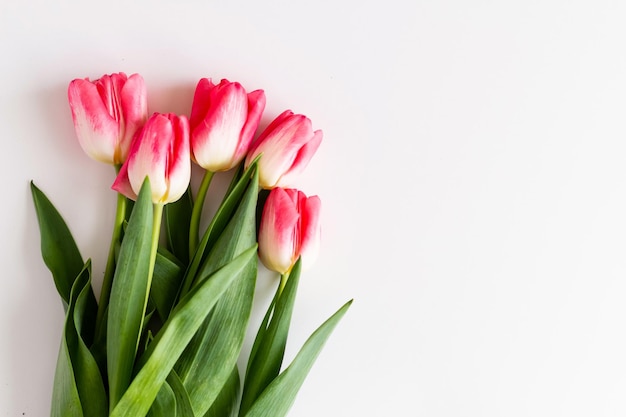 Roze tulp bloemen boeket op witte achtergrond Plat lag bovenaanzicht Selectieve aandacht