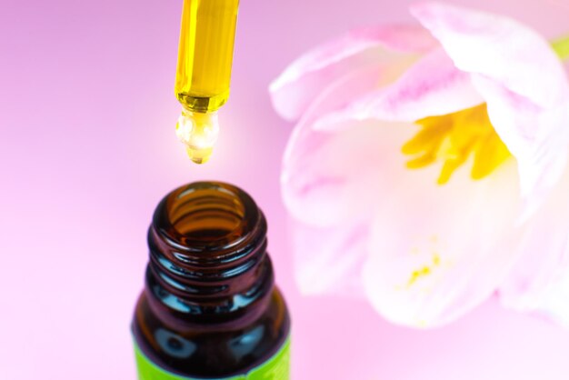 Roze tulp in de buurt van de fles cosmetische olie met een pipet op een roze achtergrond Close-up vloeibare druppel druipen Schoonheid geneeskunde en gezondheidszorg concept Macro foto Natuurlijke eco cosmetica