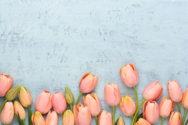 Roze tulp op de vintage houten achtergrond. moederdag wenskaart.
