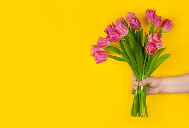 Roze tulpen bloemen in de hand op een gele achtergrond Concept gefeliciteerd