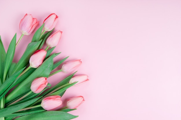 Roze tulpen bovenaanzicht