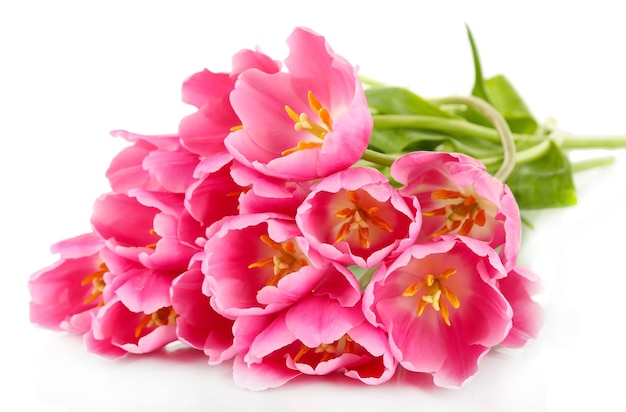 Roze tulpen geïsoleerd op wit