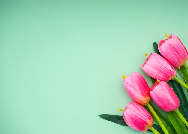 Roze tulpen Groenboek achtergrond