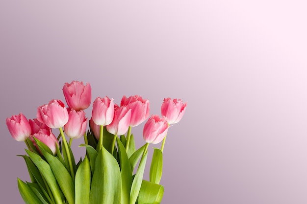 roze tulpen liggen naast gekleurde pennen