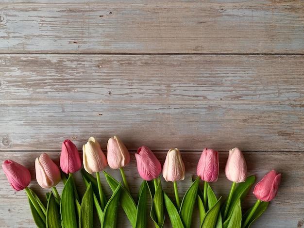 roze tulpen liggend op een houten achtergrond