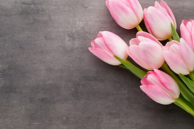 Roze tulpen op de grijze achtergrond.