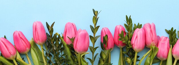 Roze tulpen op een blauwe ondergrond