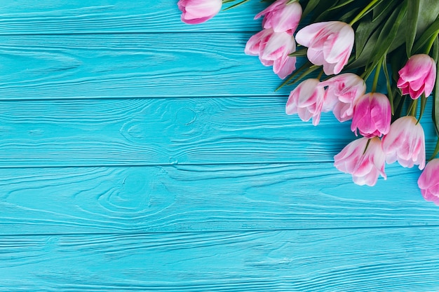 Roze tulpen op een houten blauwe achtergrond. Bovenaanzicht en vlak leggen.