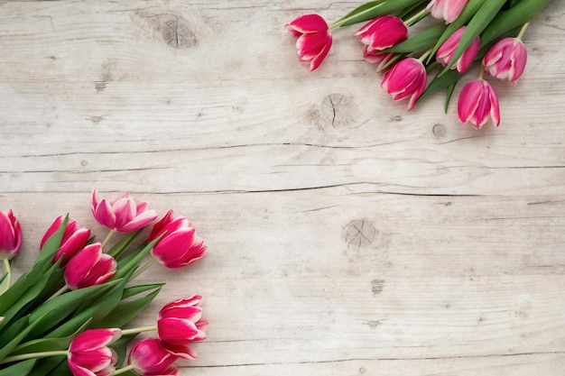 Roze tulpen op een lichte achtergrond