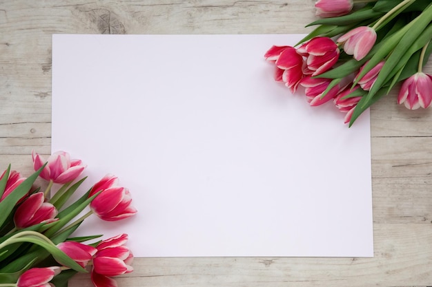 Roze tulpen op een lichte achtergrond