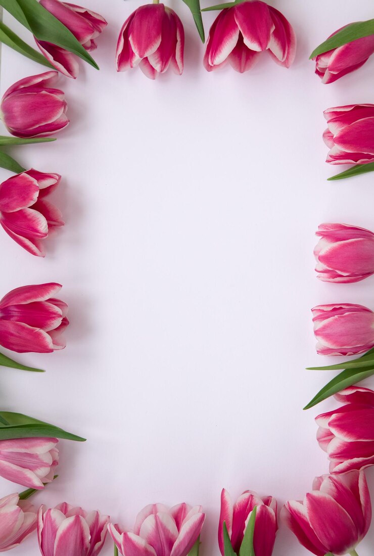 Foto roze tulpen op een lichte achtergrond