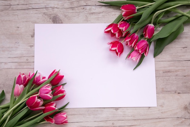 Roze tulpen op een lichte achtergrond