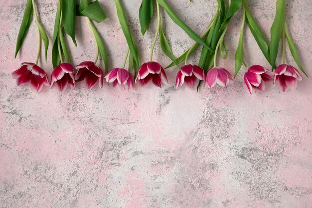 Roze tulpen op roze achtergrond