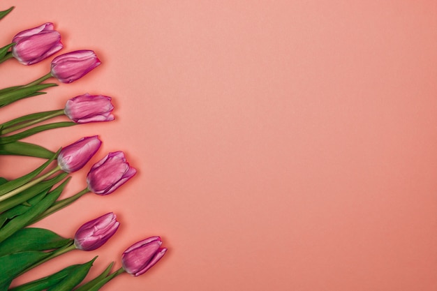 Foto roze tulpen op roze