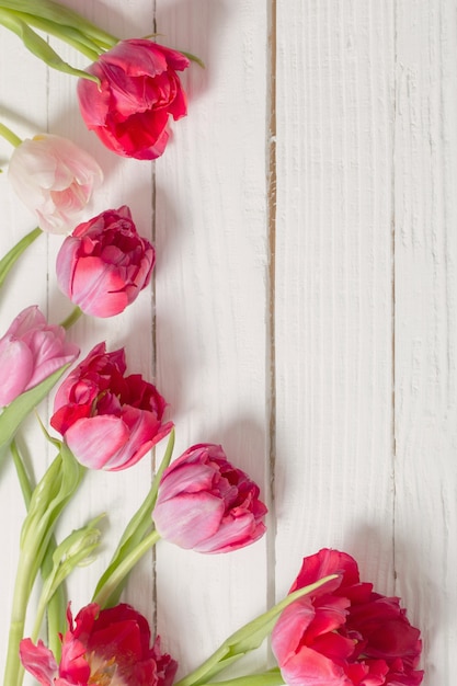 Roze tulpen op witte houten achtergrond